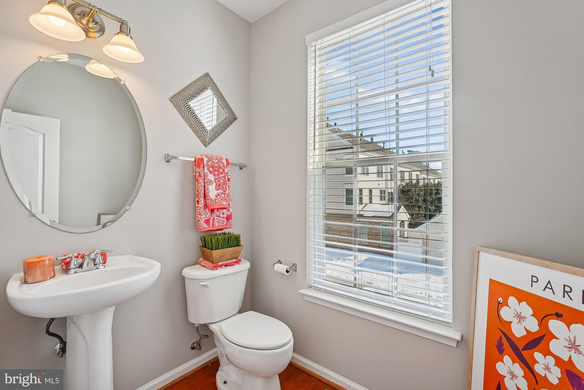 22982 Fox Fire Terrace Brambleton, VA 20148 - Photo 26 of 50 a bathroom with a sink a mirror and a toilet