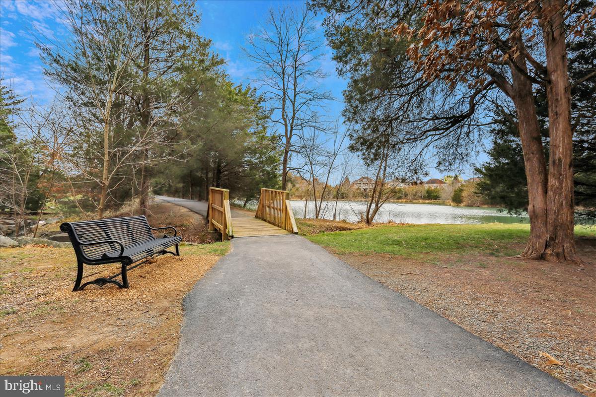 22982 Fox Fire Terrace Brambleton, VA 20148 - Photo 49 of 50 a view of a park with bench and trees