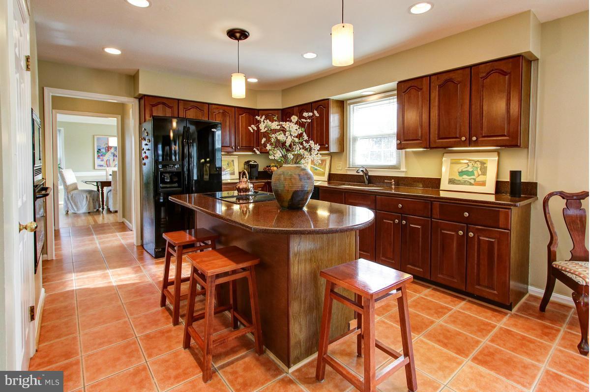 Gourmet Kitchen w/down draft cook top