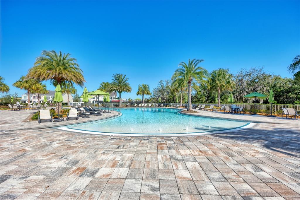 11616 Golden Bay Place Lakewood Ranch, FL 34211 - Photo 46 of 66 a view of swimming pool with outdoor seating and plants