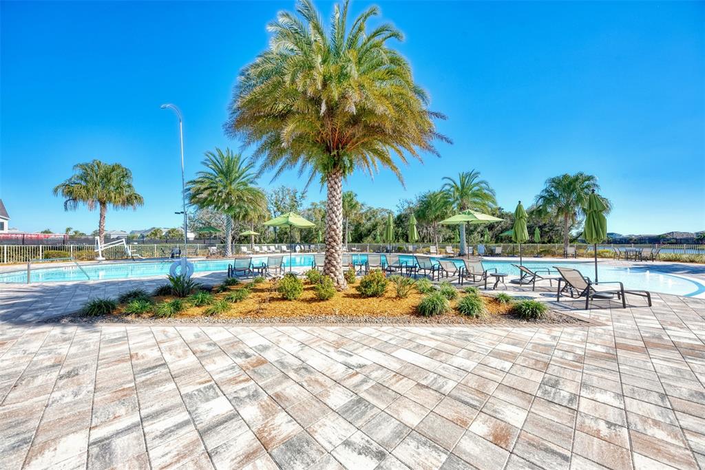 11616 Golden Bay Place Lakewood Ranch, FL 34211 - Photo 47 of 66 a view of swimming pool with lounge chair