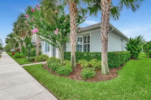 a house that has a tree in front of the house