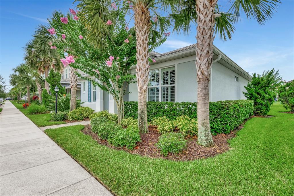 11616 Golden Bay Place Lakewood Ranch, FL 34211 - Photo 5 of 66 a house that has a tree in front of the house