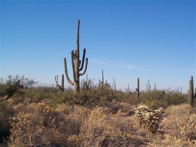 0 East Roger Road Tucson, AZ 85749 - Photo 1 of 2
