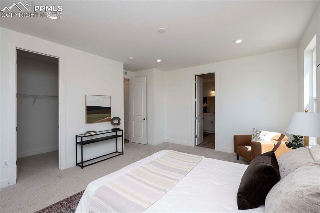 2036 Peachleaf Loop Castle Rock, CO 80108 - Photo 20 of 35 a bedroom with a bed and a television