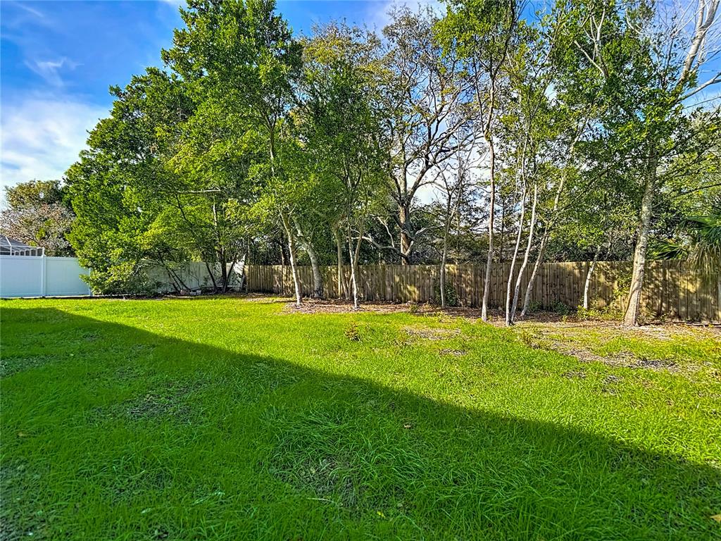 14137 Prospect Street Spring Hill, FL 34609 - Photo 48 of 56