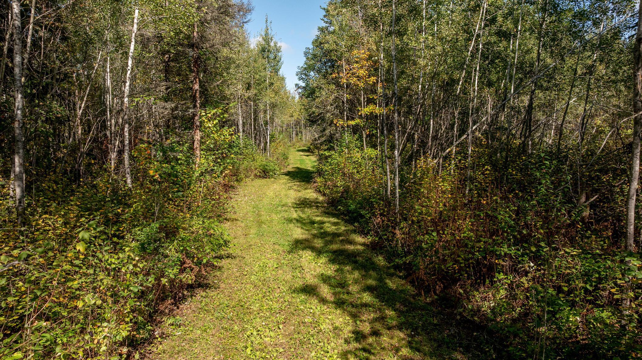 44047 Little Pine Road, Unit 568 ACRES Emily, MN 56447 - Photo 8 of 92