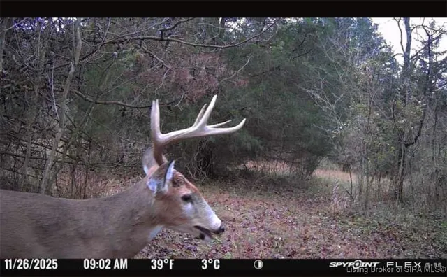 $399,400 | 21422 New Market Road, Marysville, IN 47141