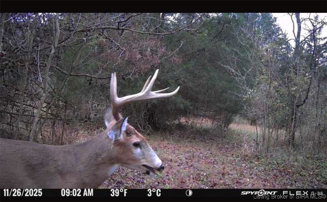 21422 New Market Road Marysville, IN 47141 - Photo 35 of 35