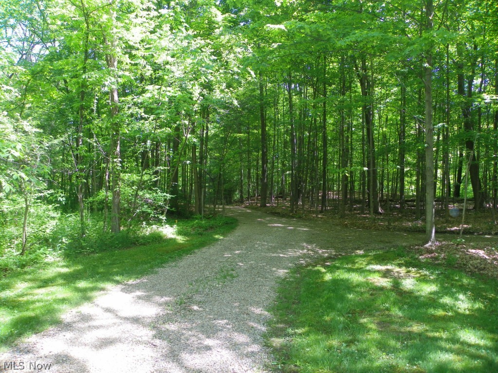4780 Hamilton Road Medina, OH 44256 - Photo 14 of 25 Gallery Image 14