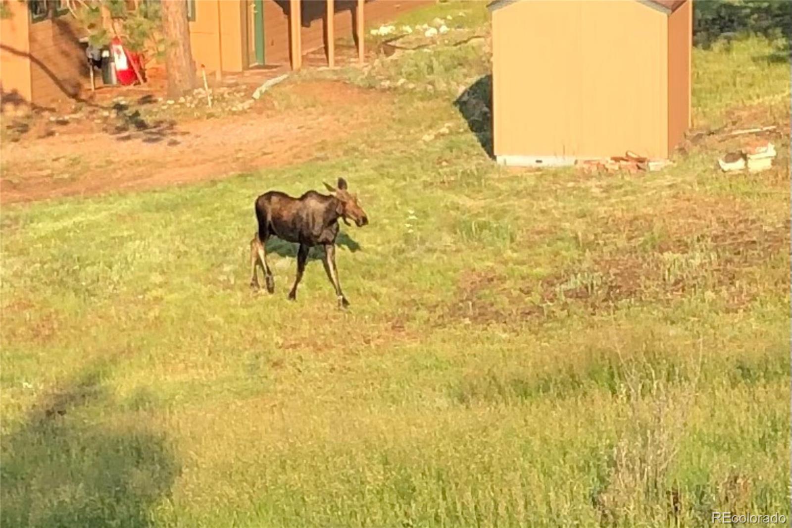 829 County Road 72 Bailey, CO 80421 - Photo 19 of 45