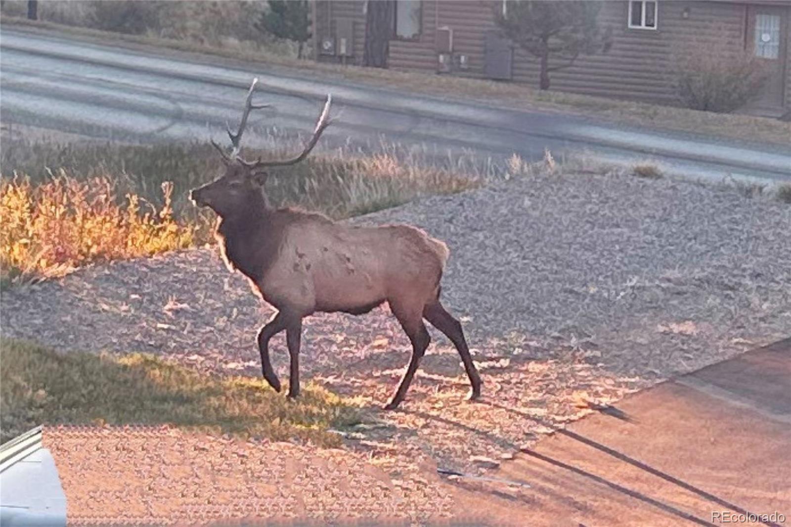 829 County Road 72 Bailey, CO 80421 - Photo 43 of 45