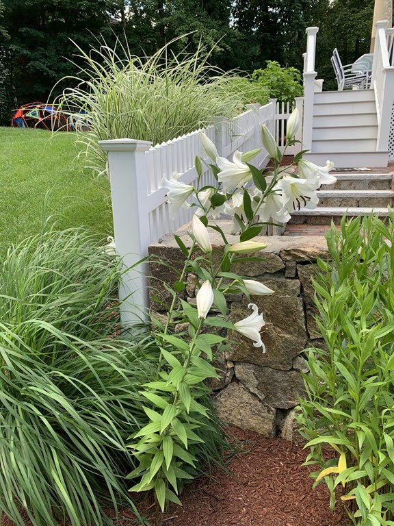 136 Parker Road Framingham, MA 01702 - Photo 31 of 32 a view of a garden with plants