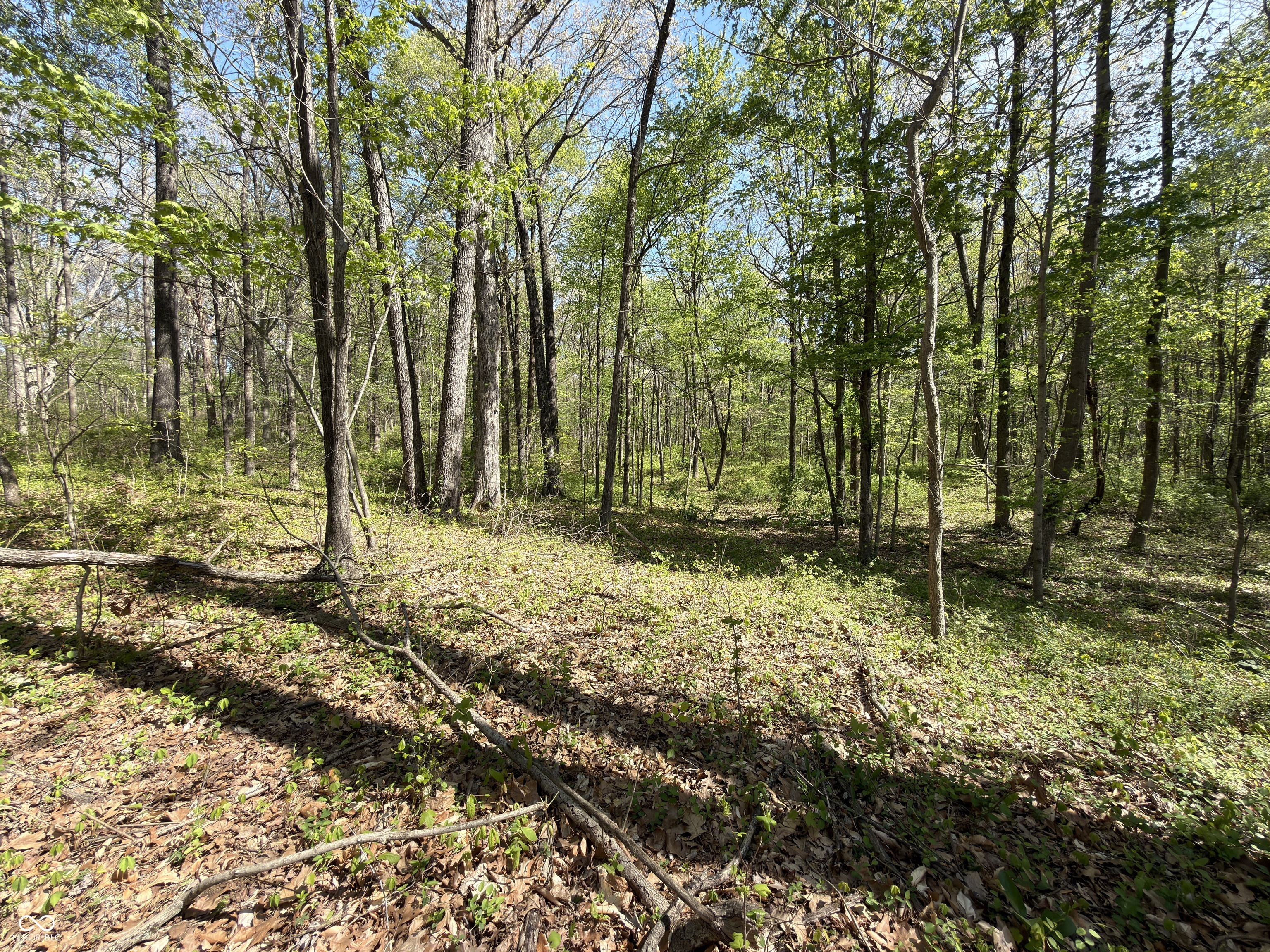 4115 East Olive Branch Road Bloomfield, IN 47424 - Photo 36 of 58