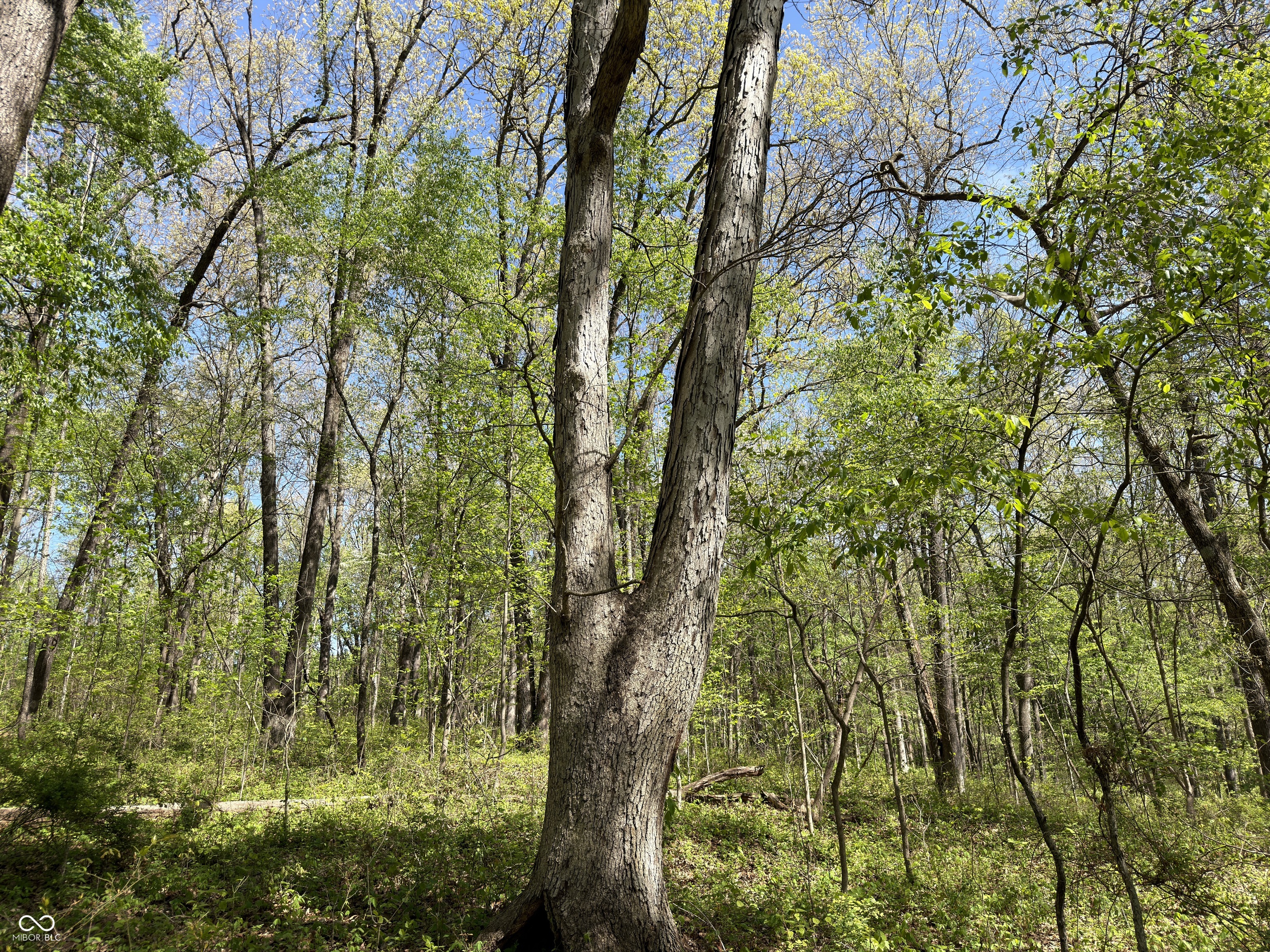 4115 East Olive Branch Road Bloomfield, IN 47424 - Photo 40 of 58