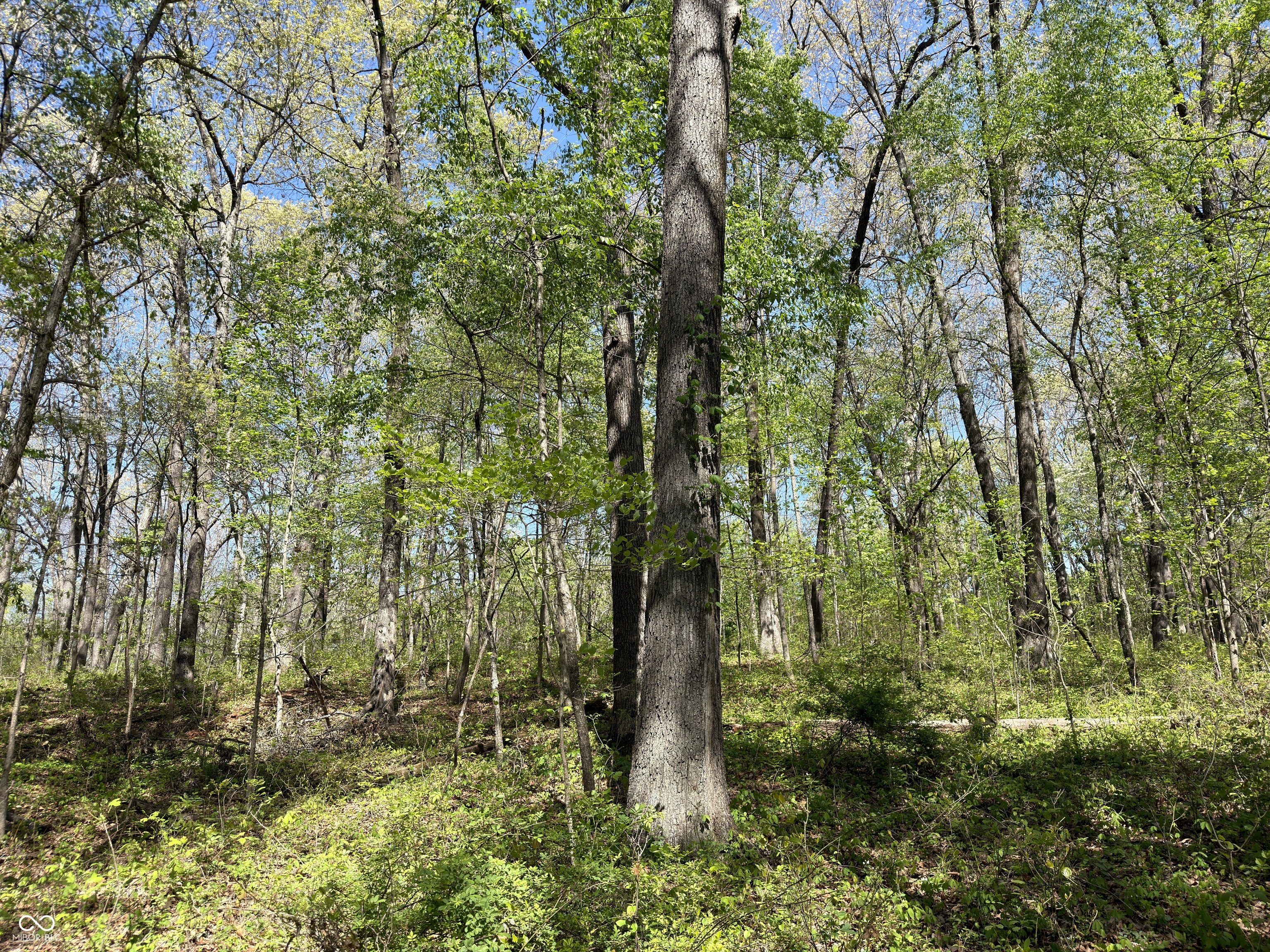 4115 East Olive Branch Road Bloomfield, IN 47424 - Photo 41 of 58