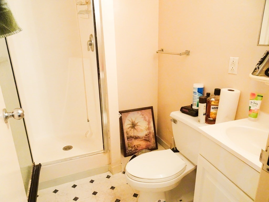 105 George Street, Unit 1 Boston, MA 02119 - Photo 8 of 16 Gallery Image 8