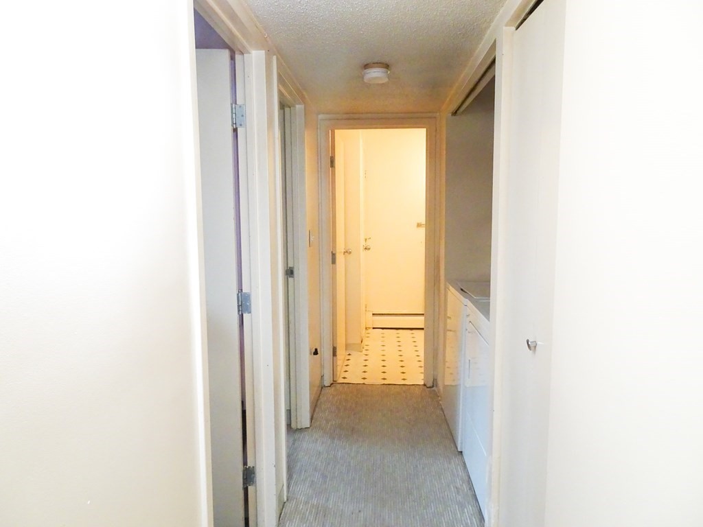 105 George Street, Unit 1 Boston, MA 02119 - Photo 9 of 16 Gallery Image 9