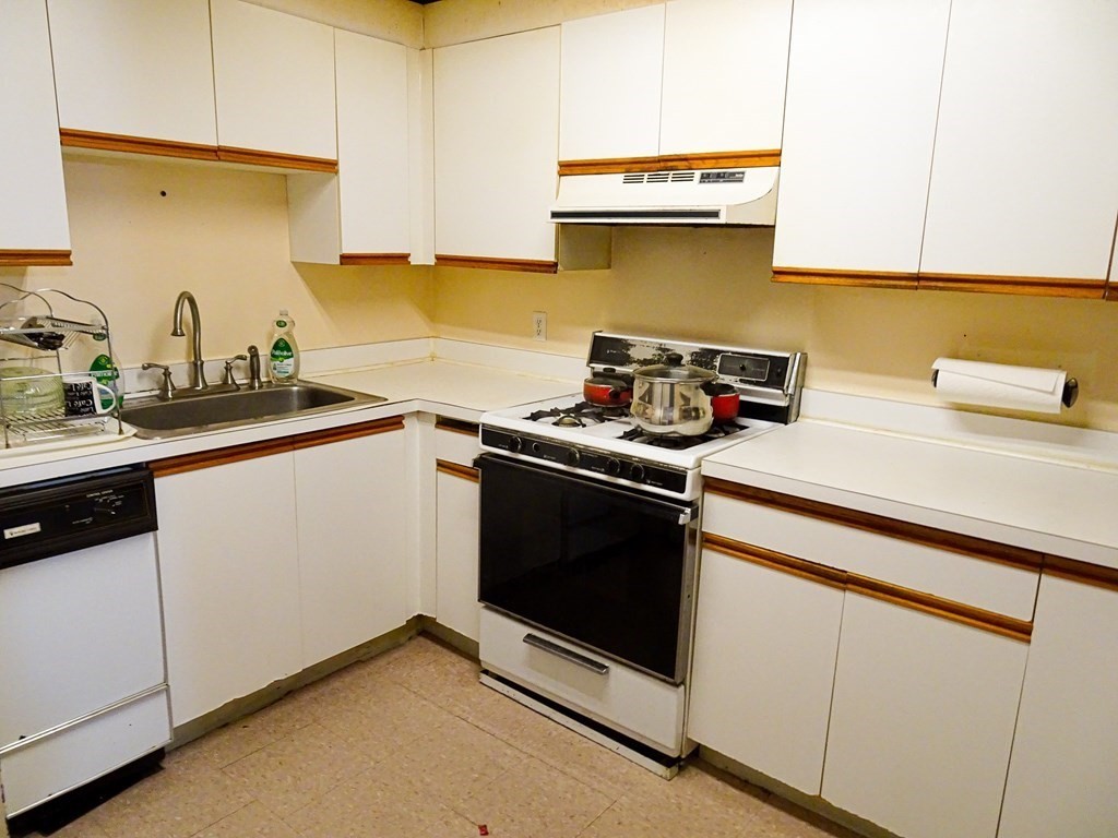 105 George Street, Unit 1 Boston, MA 02119 - Photo 10 of 16 Gallery Image 10