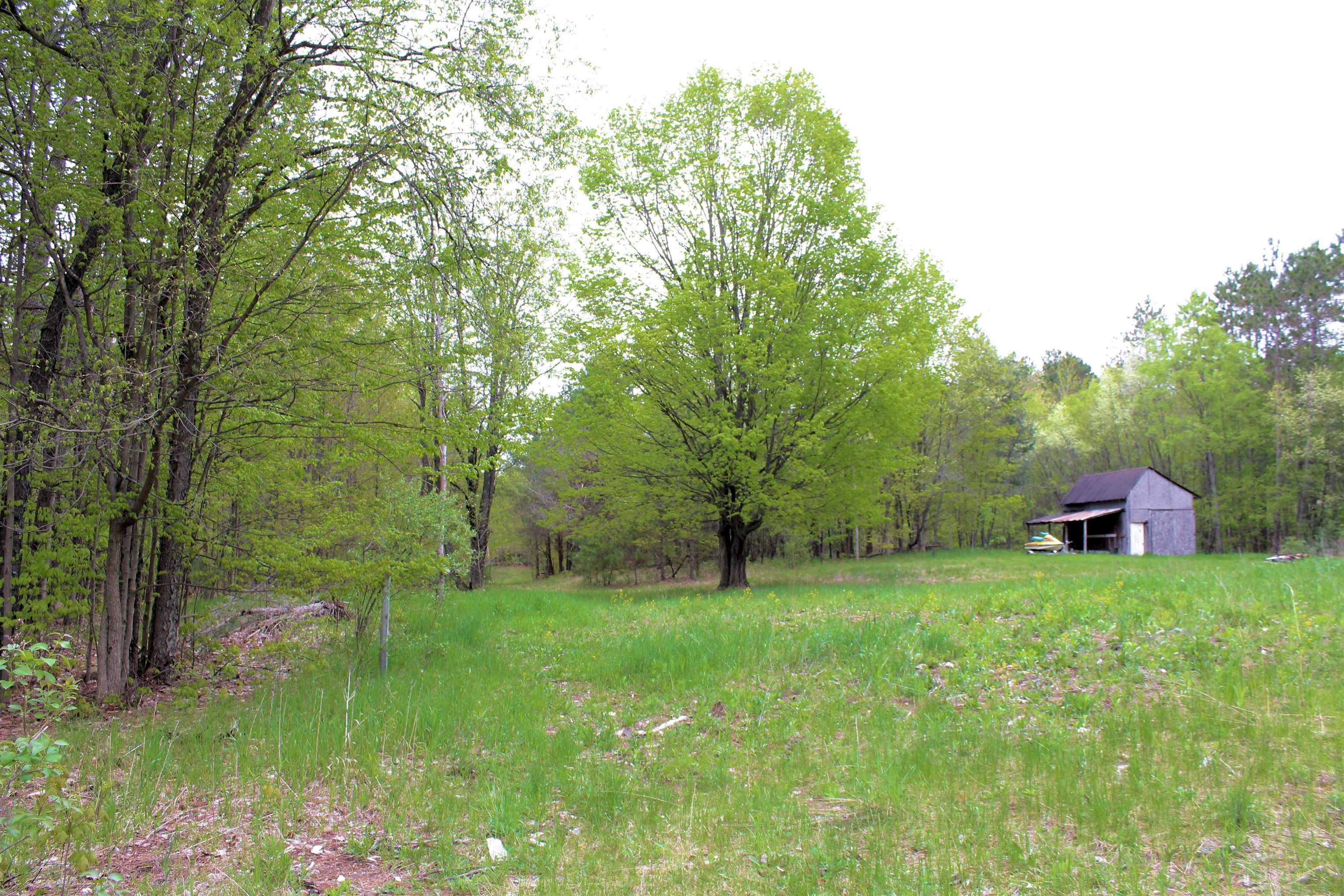 3720 West County Line Road Buckley, MI 49620 - Photo 3 of 6