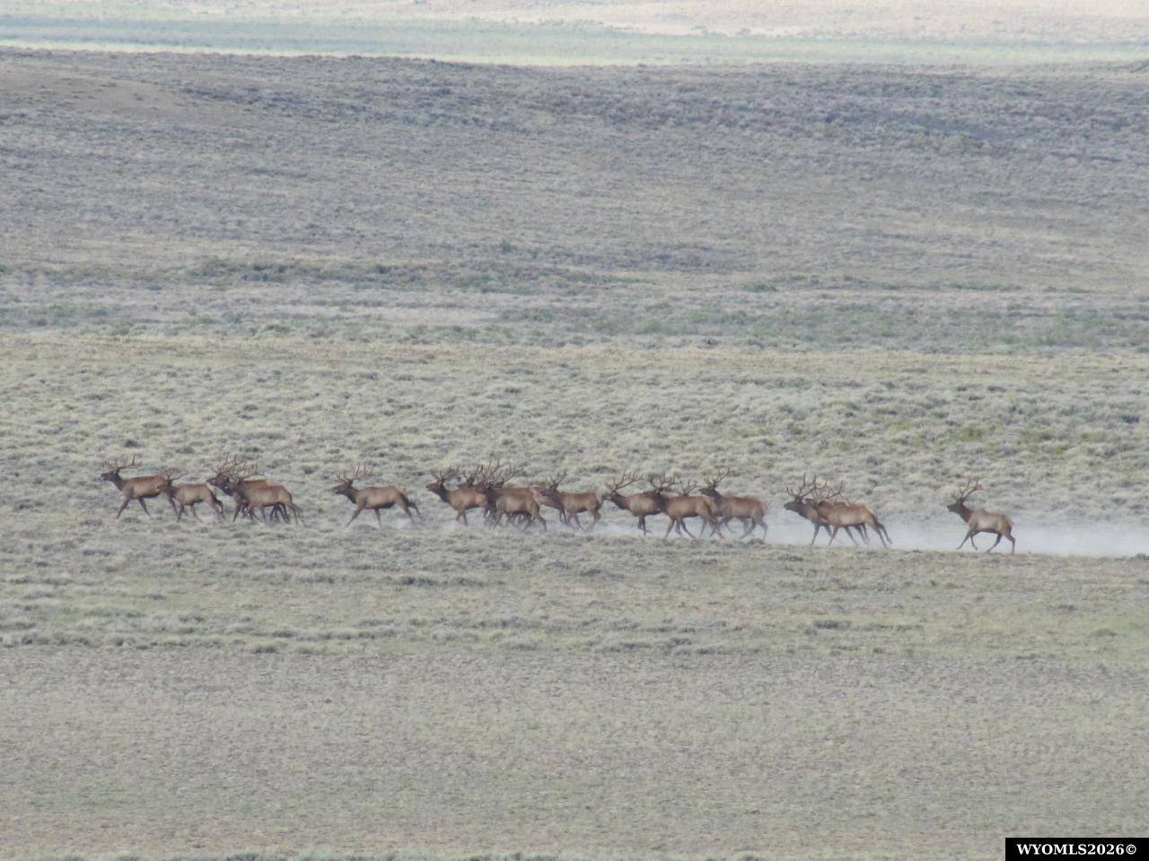 Shamrock Road Rawlins, WY 82301 - Photo 28 of 30