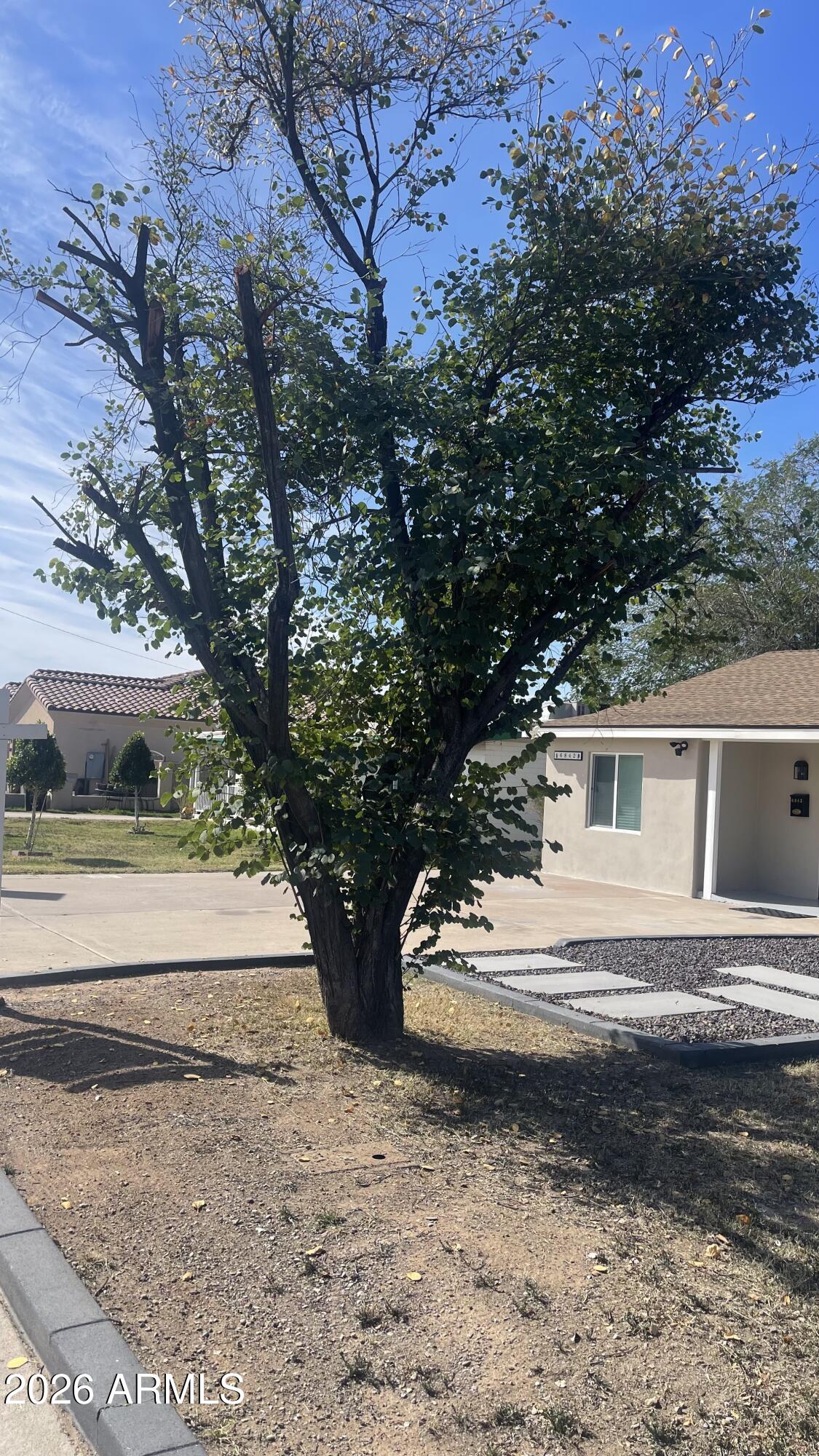 6842 North 14th Street Phoenix, AZ 85014 - Photo 36 of 53 Front trees