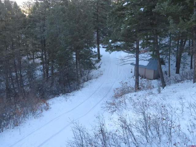 a backyard of a house with large trees