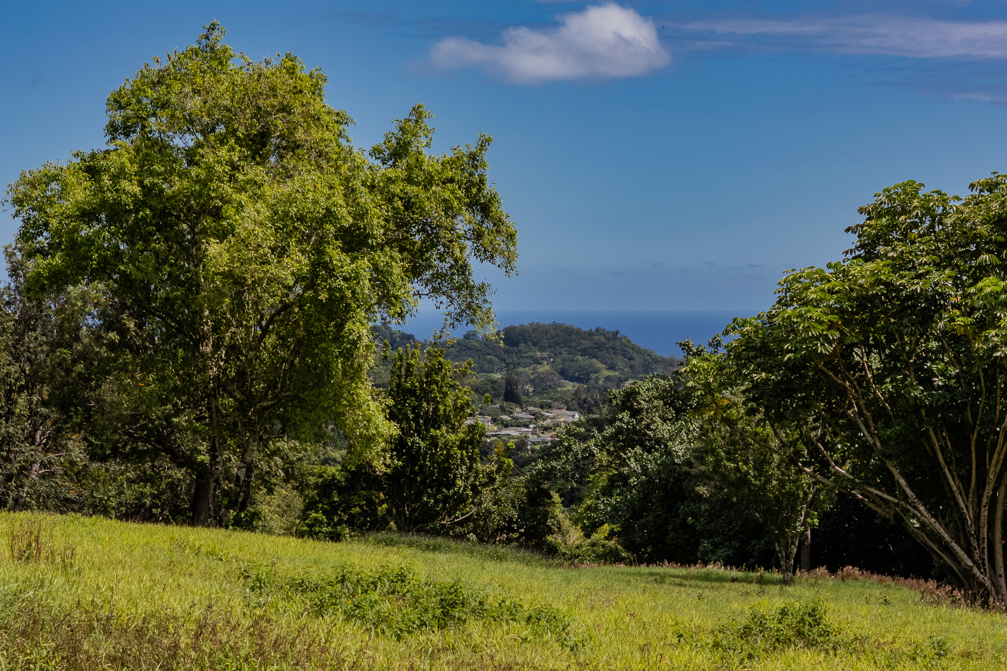 5078 Lot 44 Kua Road Kalaheo, HI 96741 - Photo 5 of 14