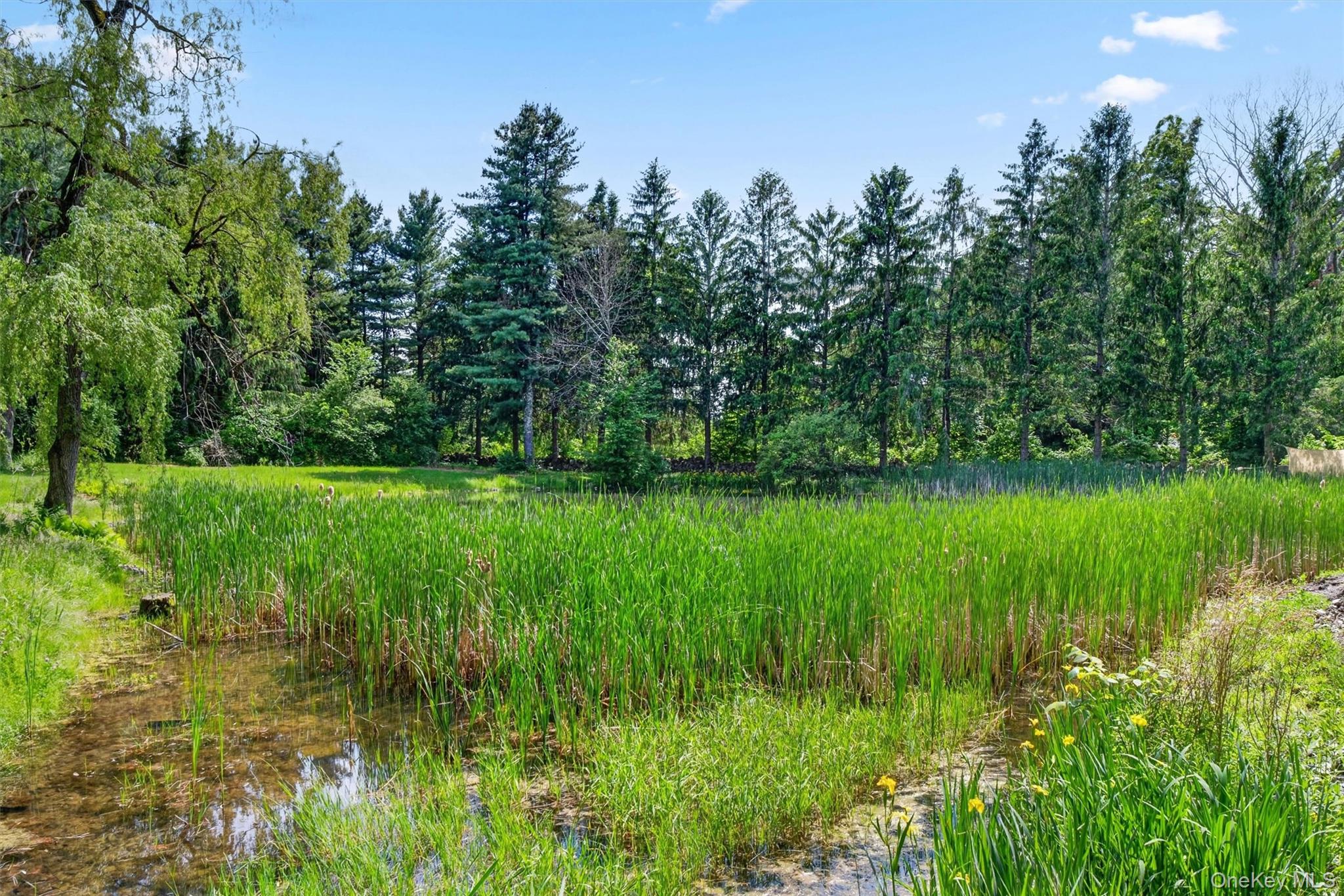 60 Eddy Road Verbank, NY 12585 - Photo 38 of 48