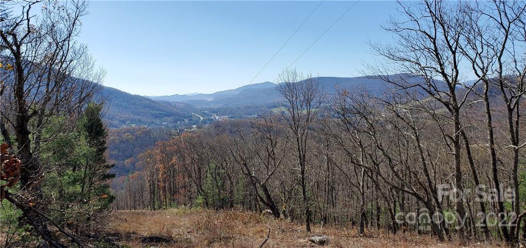 1248 Wade Bare Road Jefferson, NC 28640 - Photo 2 of 37 a view of a dry yard with trees
