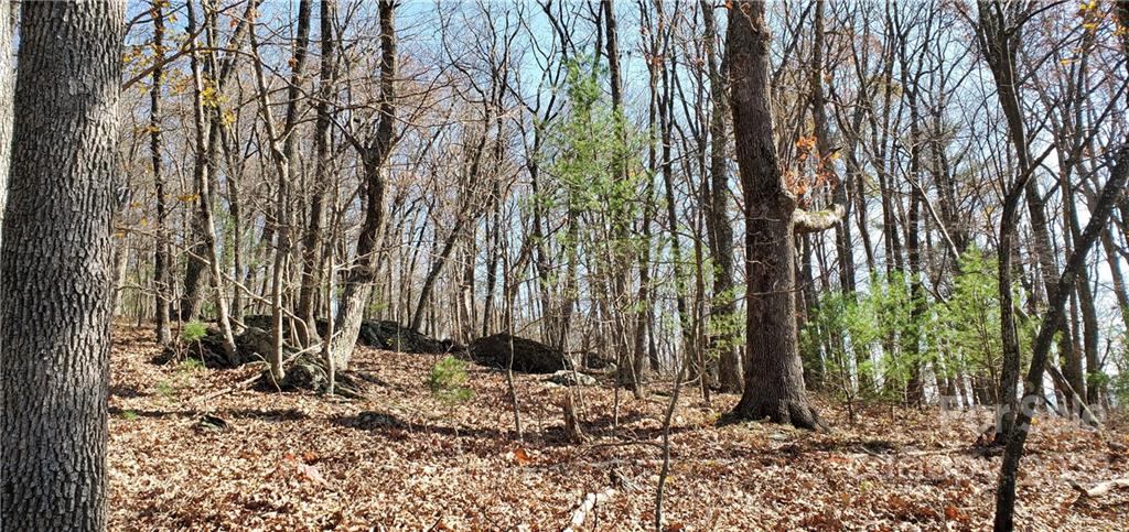 1248 Wade Bare Road Jefferson, NC 28640 - Photo 29 of 37 a backyard of a house with lots of trees