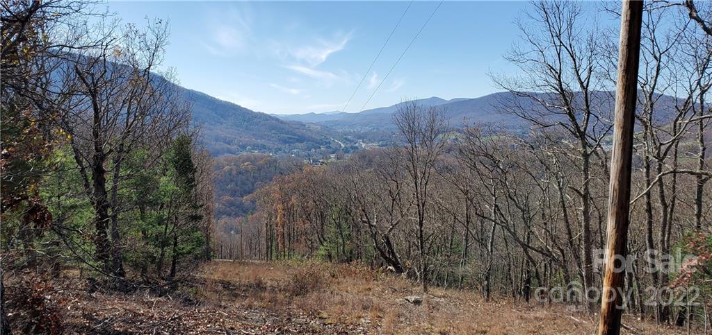 1248 Wade Bare Road Jefferson, NC 28640 - Photo 5 of 37 a view of a forest