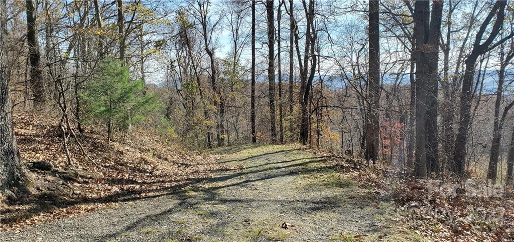 1248 Wade Bare Road Jefferson, NC 28640 - Photo 10 of 37 a view of covered with trees