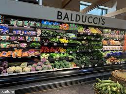 1770 Violet Ridge Place McLean, VA 22102 - Photo 59 of 60