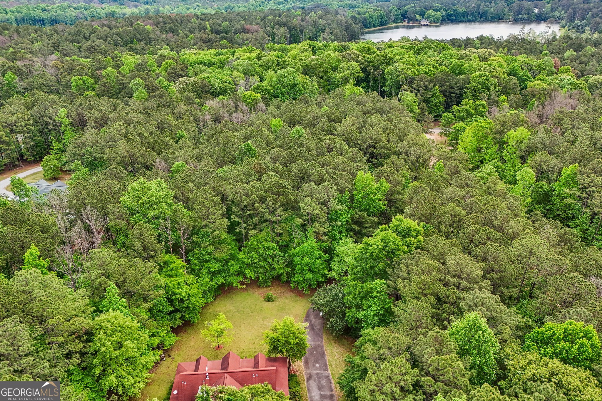 378 Pierce Chapel Road Newnan, GA 30263 - Photo 60 of 65