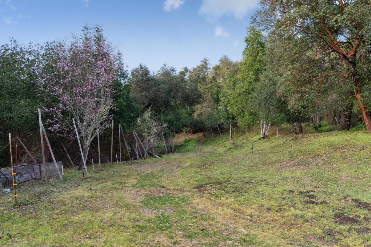 600 Ridge Top Road Los Gatos, CA 95033 - Photo 77 of 81 a view of outdoor space with trees all around
