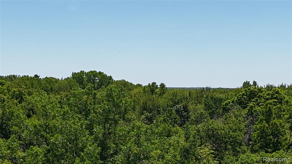 0 Williams Road Gaines, MI 48436 - Photo 10 of 28
