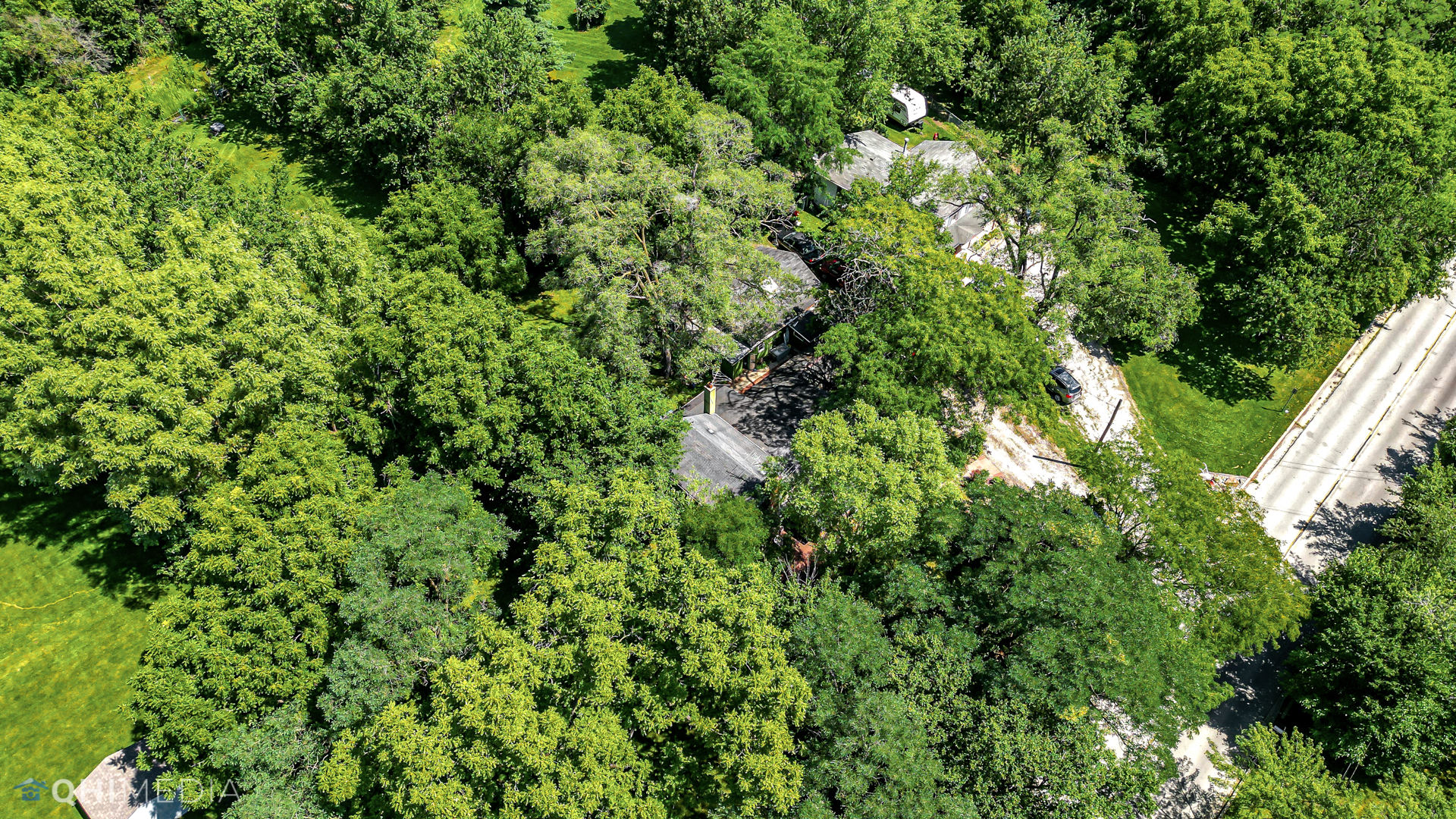 275 West Richton Road Steger, IL 60475 - Photo 31 of 35 a view of a lush green forest with lots of trees
