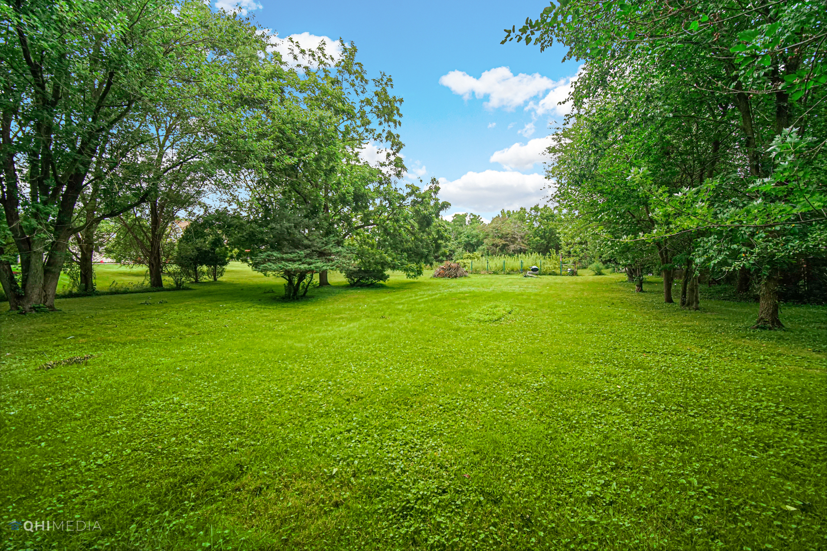 275 West Richton Road Steger, IL 60475 - Photo 6 of 35 a view of a grassy field with trees