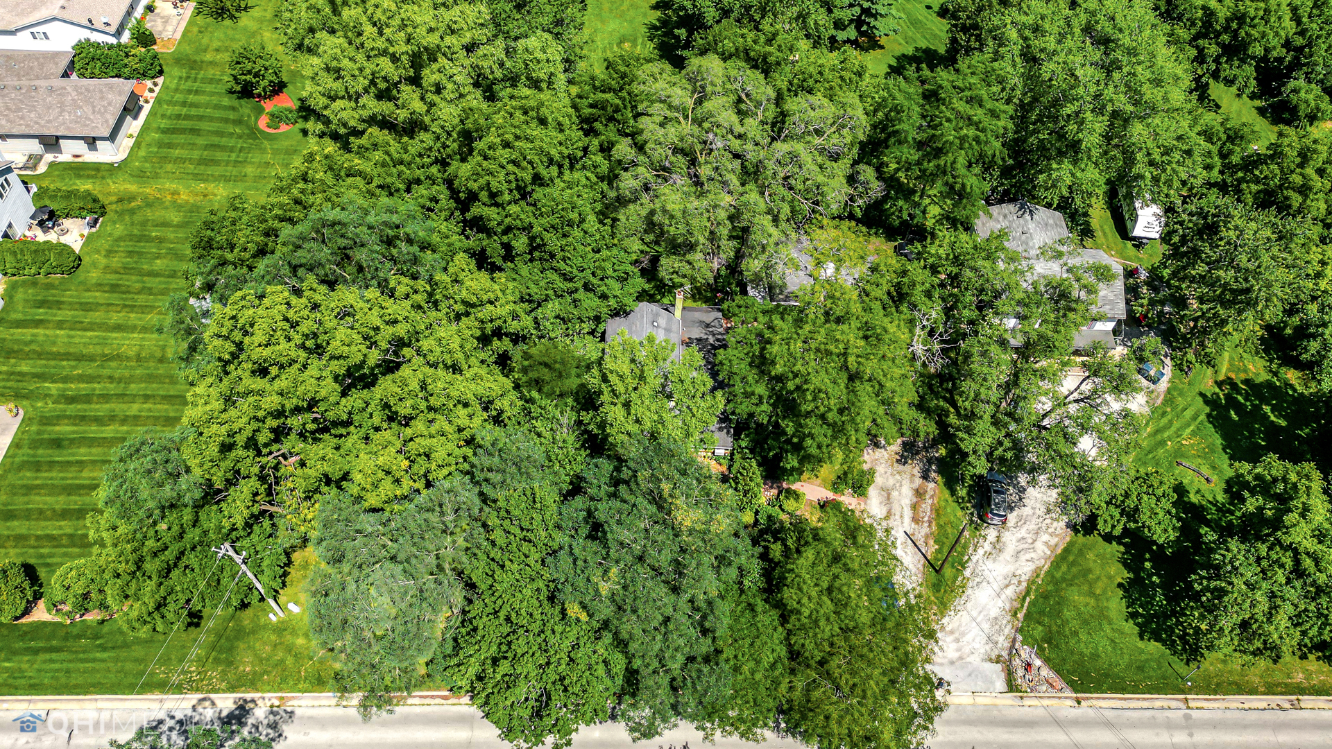 275 West Richton Road Steger, IL 60475 - Photo 7 of 35 a view of a lush green forest with lots of trees