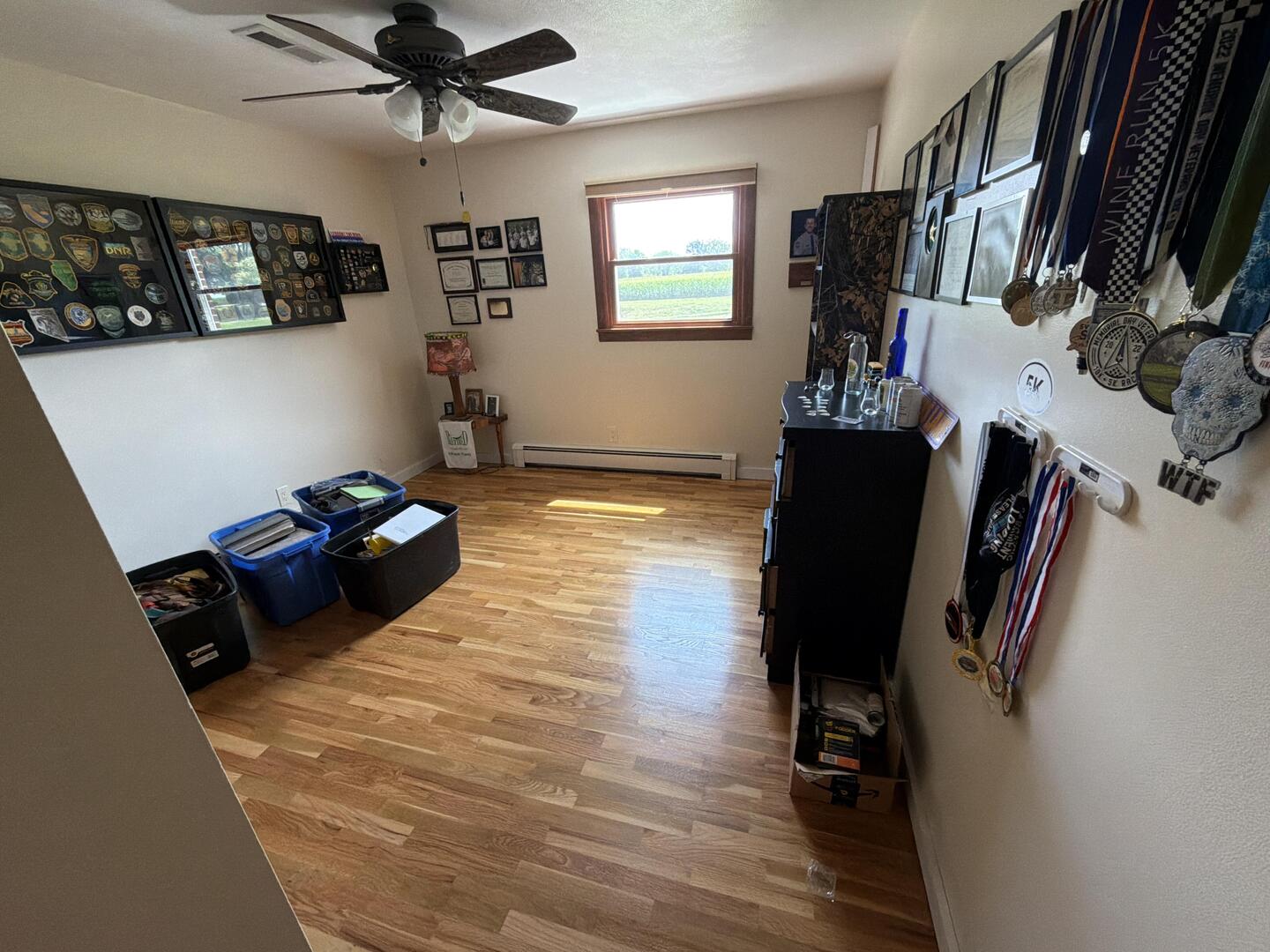 2033 McQueen Road New Berlin, IL 62670 - Photo 14 of 16