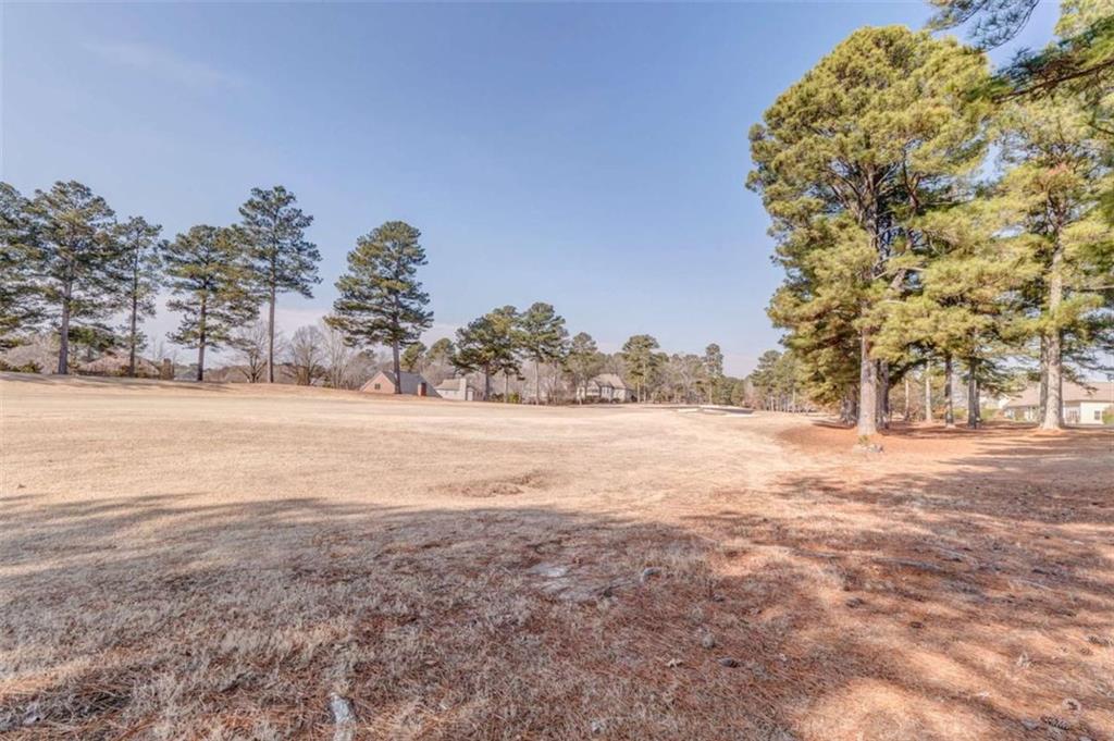 9620 Coastal Pointe Drive Villa Rica, GA 30180 - Photo 63 of 65