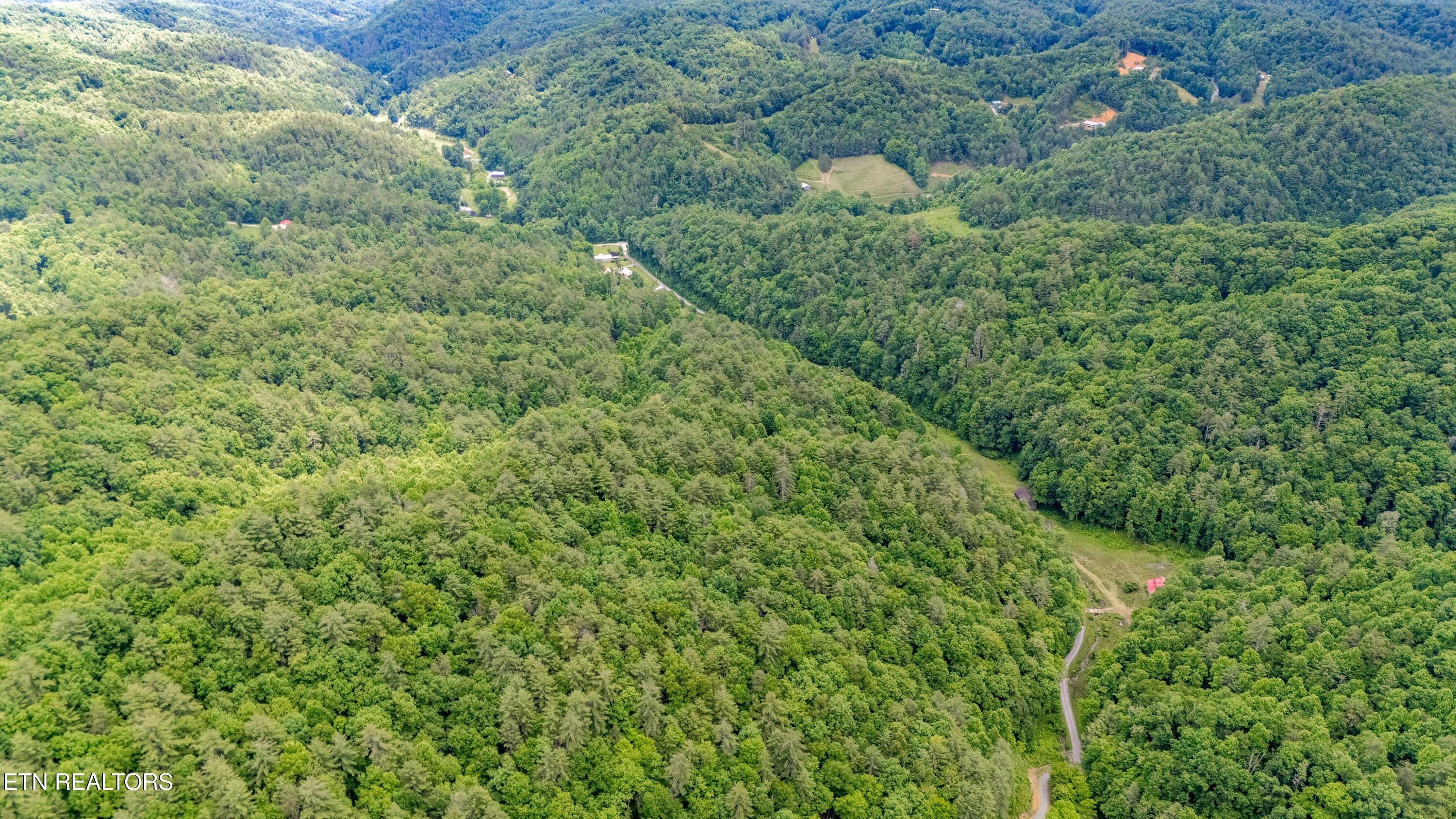 Johns Creek Road Del Rio, TN 37727 - Photo 13 of 17 DJI_20260602131248_0332_D-HDR-Edit
