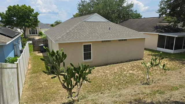 a view of a garden with plants and trees