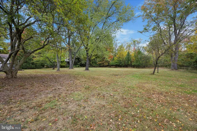 a view of a field with trees in the background