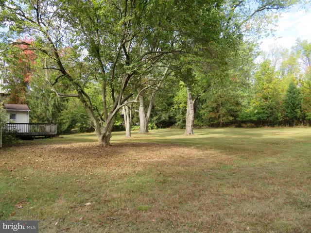 a view of a tree in the middle of a yard