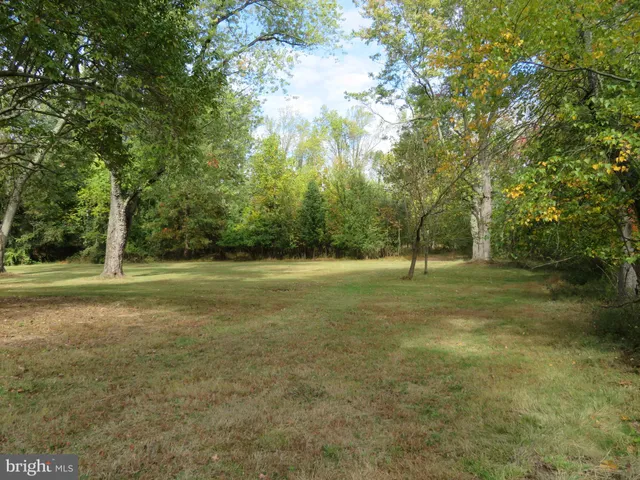 a view of outdoor space with trees
