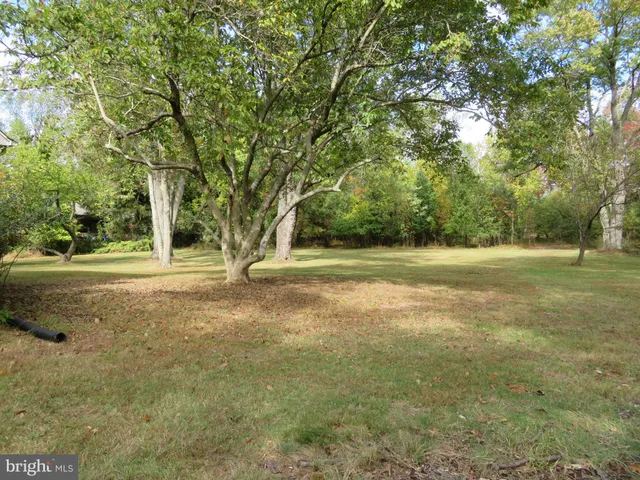 a view of outdoor space with trees