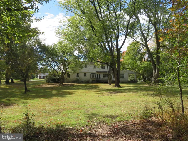 a view of a yard with a trees