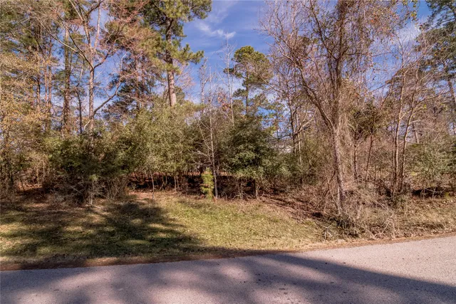 $15,000 | Lot 27 Dogwood Drive, Trinity, TX 75862